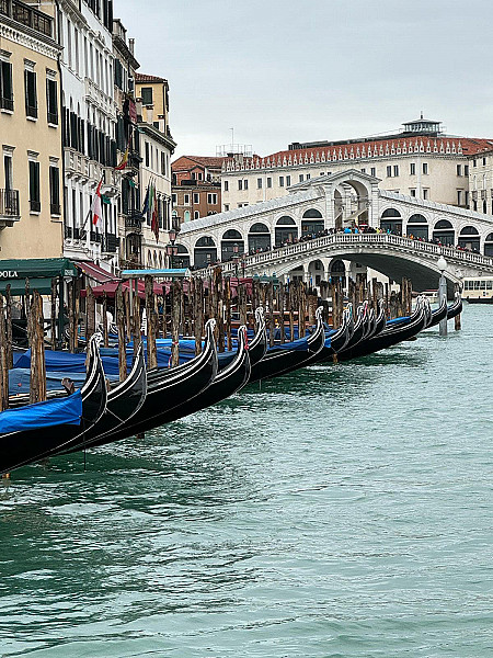 Il Rotary Club di Bisceglie rinsalda il gemellaggio con il Club di Venezia